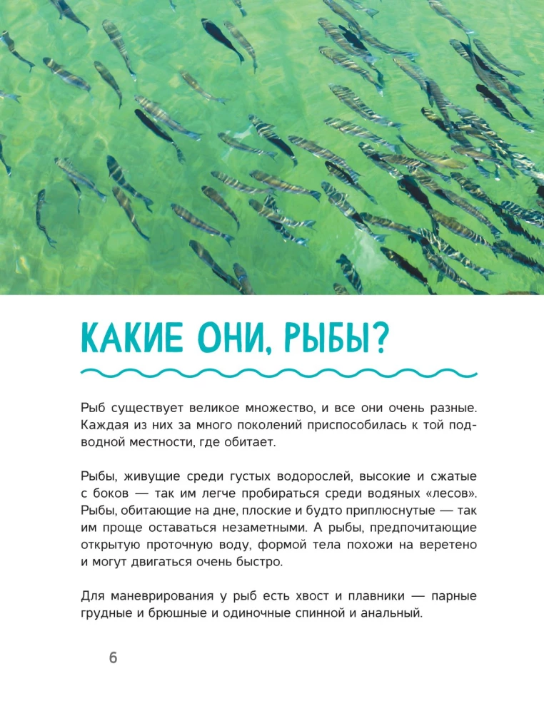 Wędkarstwo